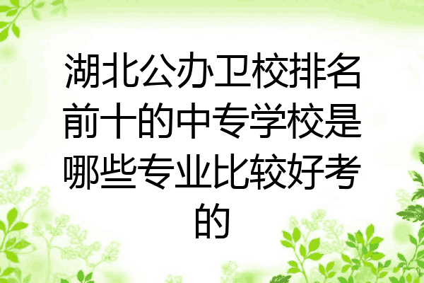 湖北公办卫校排名前十的中专学校是哪些专业比较好考的