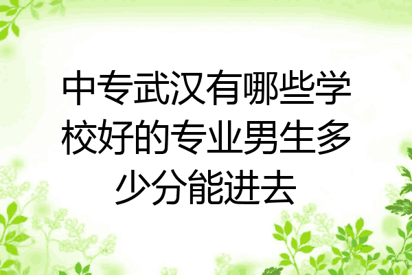 中专武汉有哪些学校好的专业男生多少分能进去
