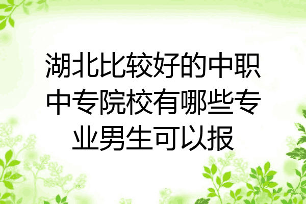 湖北比较好的中职中专院校有哪些专业男生可以报