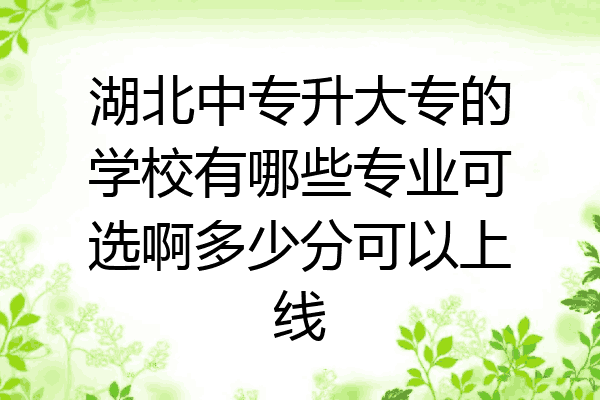湖北中专升大专的学校有哪些专业可选啊多少分可以上线