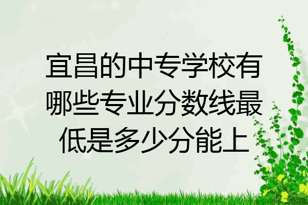 宜昌的中专学校有哪些专业分数线最低是多少分能上