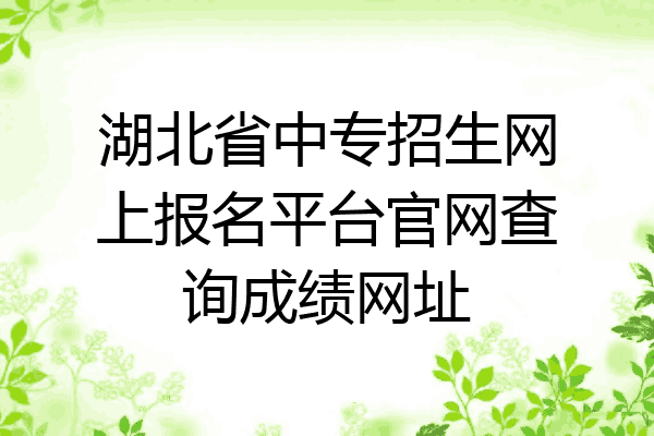 湖北省中专招生网上报名平台官网查询成绩网址