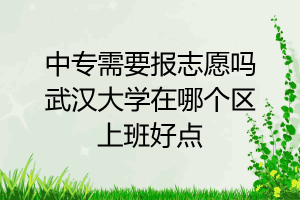中专需要报志愿吗武汉大学在哪个区上班好点