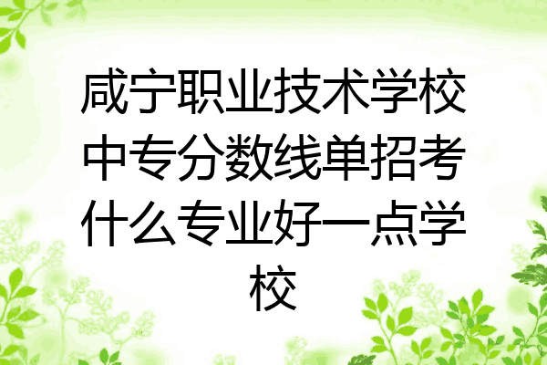咸宁职业技术学校中专分数线单招考什么专业好一点学校