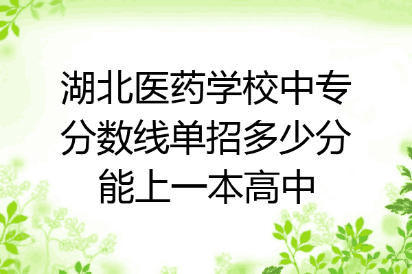 湖北医药学校中专分数线单招多少分能上一本高中