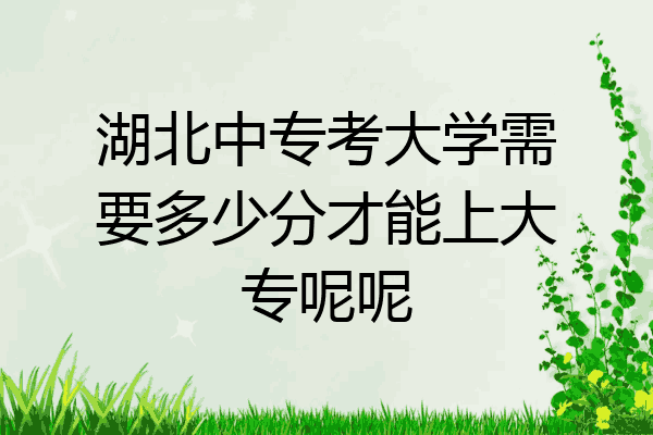 湖北中专考大学需要多少分才能上大专呢呢