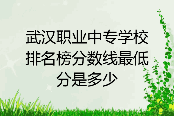 武汉职业中专学校排名榜分数线最低分是多少