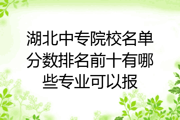 湖北中专院校名单分数排名前十有哪些专业可以报