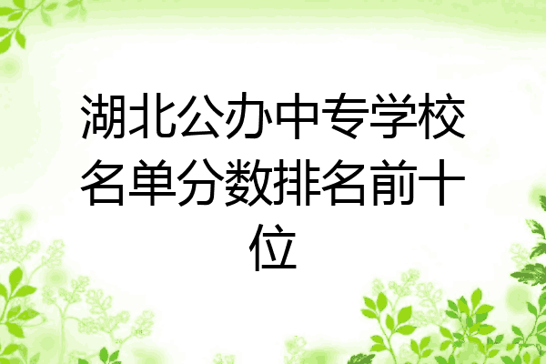 湖北公办中专学校名单分数排名前十位