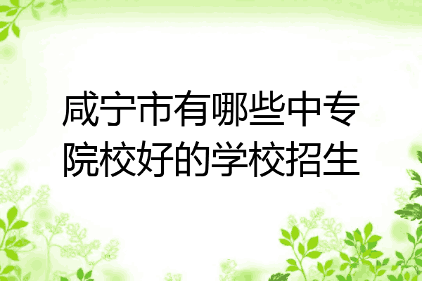 咸宁市有哪些中专院校好的学校招生
