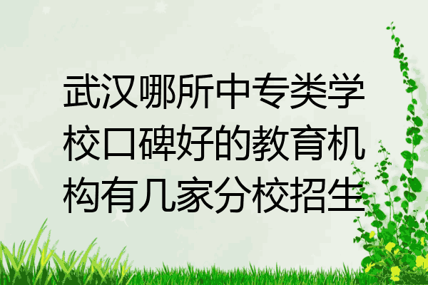 武汉哪所中专类学校口碑好的教育机构有几家分校招生