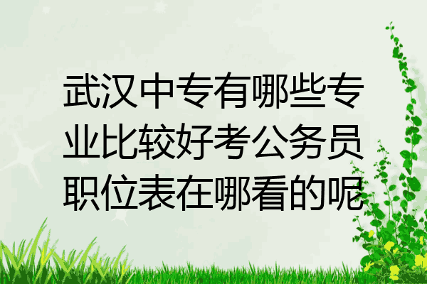 武汉中专有哪些专业比较好考公务员职位表在哪看的呢