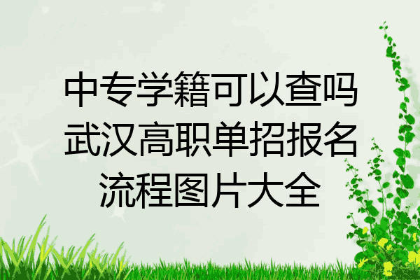 中专学籍可以查吗武汉高职单招报名流程图片大全