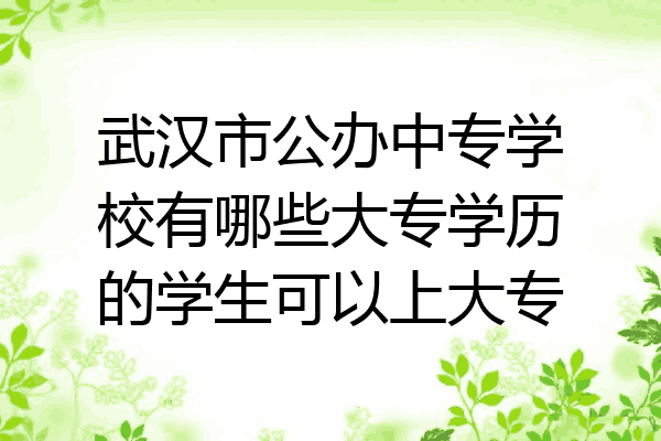 武汉市公办中专学校有哪些大专学历的学生可以上大专