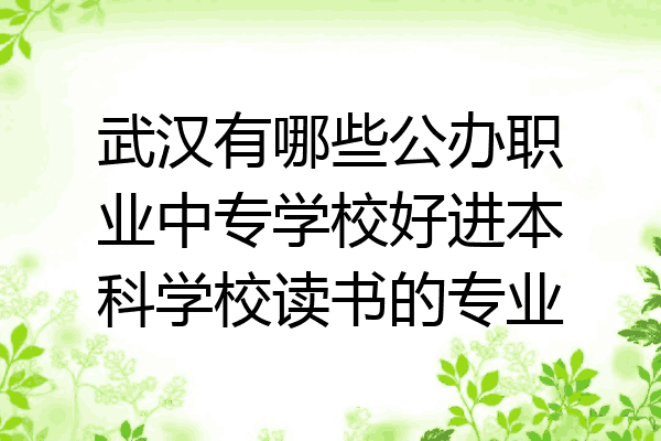 武汉有哪些公办职业中专学校好进本科学校读书的专业