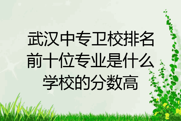 武汉中专卫校排名前十位专业是什么学校的分数高
