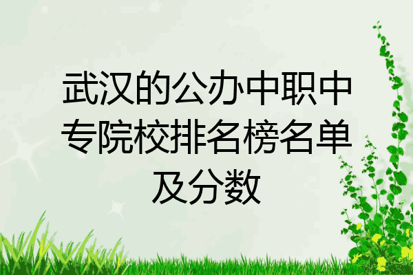 武汉的公办中职中专院校排名榜名单及分数