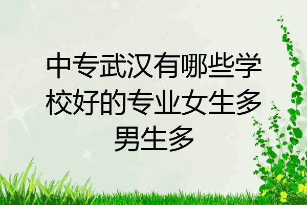 中专武汉有哪些学校好的专业女生多男生多