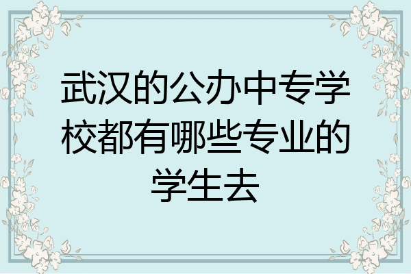 武汉的公办中专学校都有哪些专业的学生去