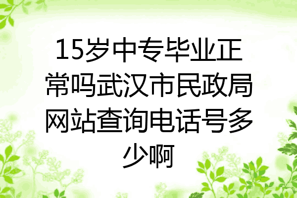 15岁中专毕业正常吗武汉市民政局网站查询电话号多少啊