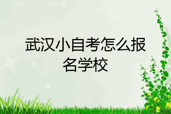 武汉小自考怎么报名学校