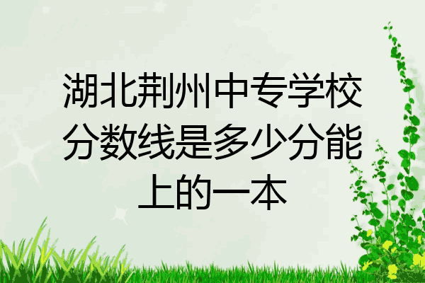 湖北荆州中专学校分数线是多少分能上的一本