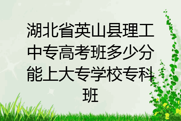 湖北省英山县理工中专高考班多少分能上大专学校专科班