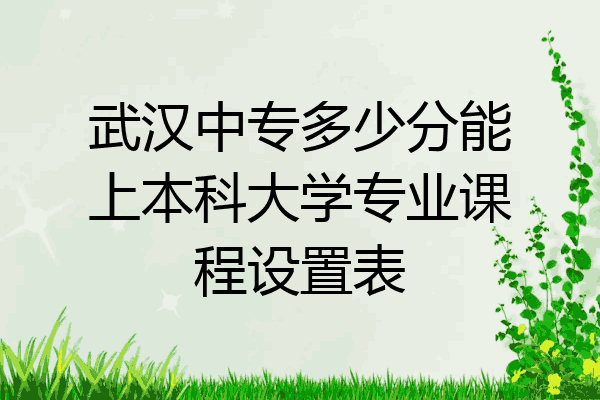 武汉中专多少分能上本科大学专业课程设置表