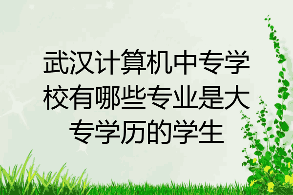 武汉计算机中专学校有哪些专业是大专学历的学生
