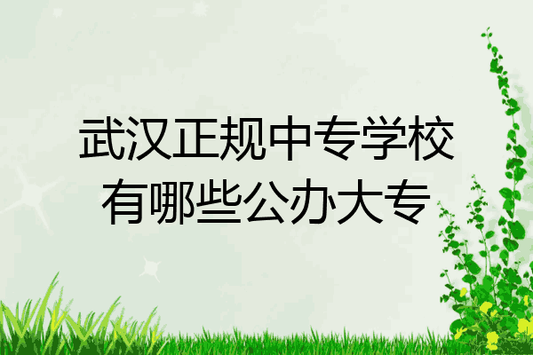 武汉正规中专学校有哪些公办大专