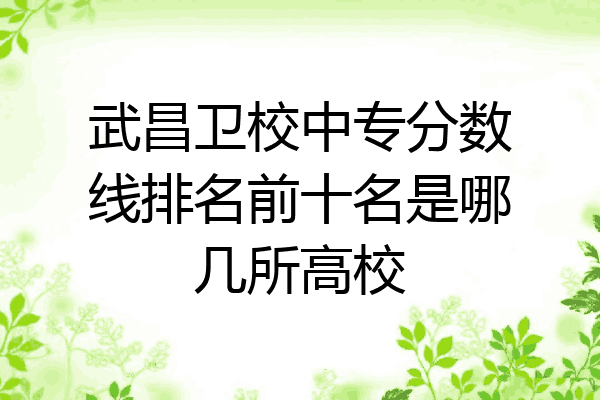武昌卫校中专分数线排名前十名是哪几所高校