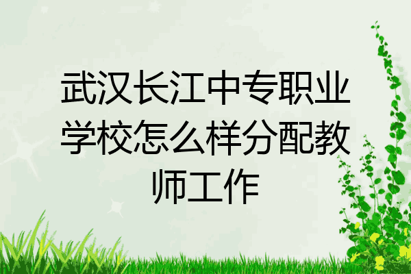 武汉长江中专职业学校怎么样分配教师工作