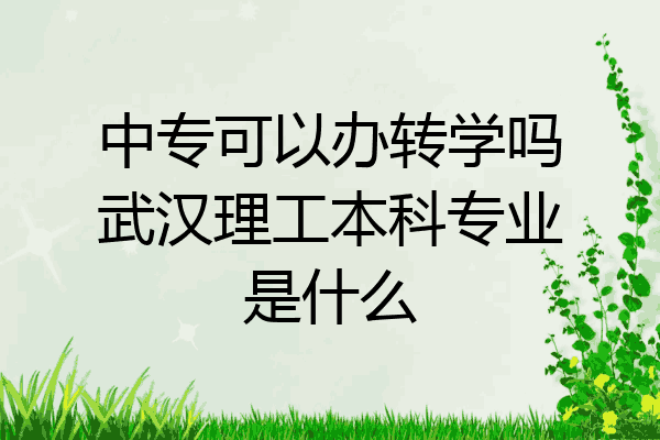 中专可以办转学吗武汉理工本科专业是什么