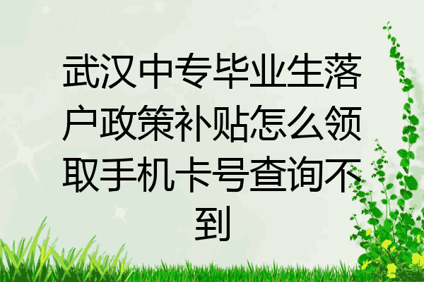 武汉中专毕业生落户政策补贴怎么领取手机卡号查询不到