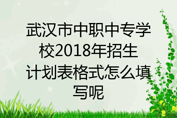 武汉市中职中专学校2018年招生计划表格式怎么填写呢
