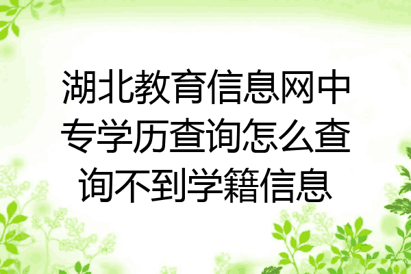 湖北教育信息网中专学历查询怎么查询不到学籍信息