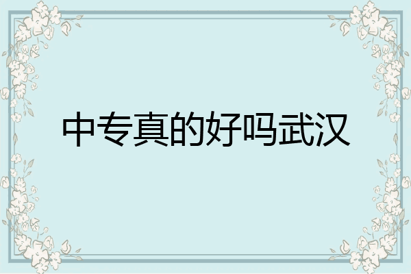中专真的好吗武汉