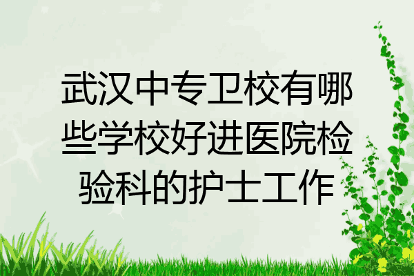 武汉中专卫校有哪些学校好进医院检验科的护士工作