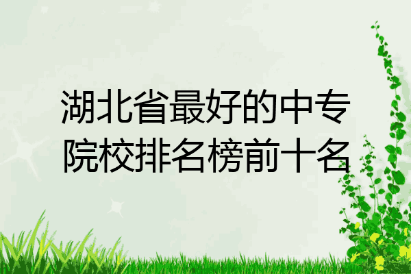 湖北省最好的中专院校排名榜前十名