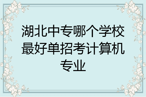 湖北中专哪个学校最好单招考计算机专业