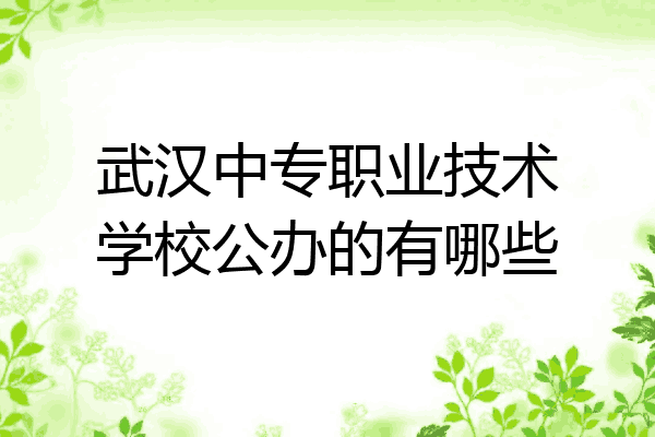 武汉中专职业技术学校公办的有哪些
