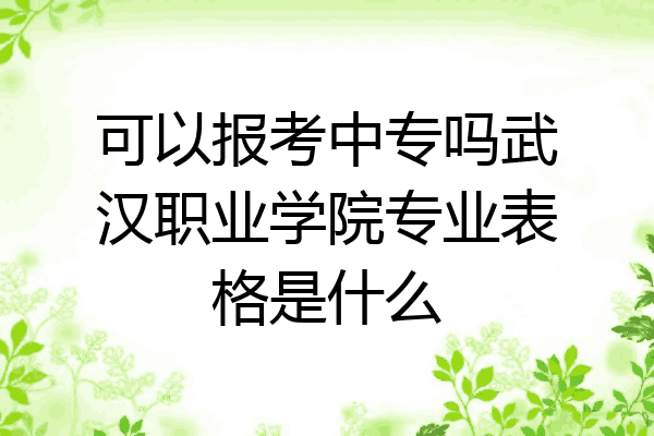 可以报考中专吗武汉职业学院专业表格是什么