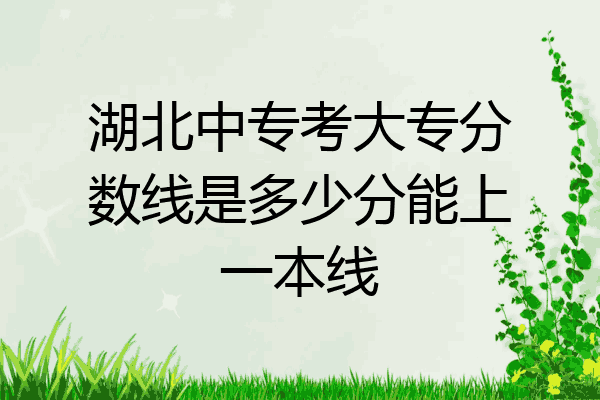 湖北中专考大专分数线是多少分能上一本线