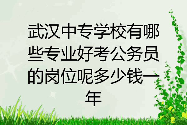 武汉中专学校有哪些专业好考公务员的岗位呢多少钱一年