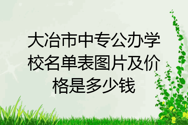 大冶市中专公办学校名单表图片及价格是多少钱