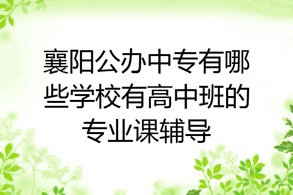 襄阳公办中专有哪些学校有高中班的专业课辅导