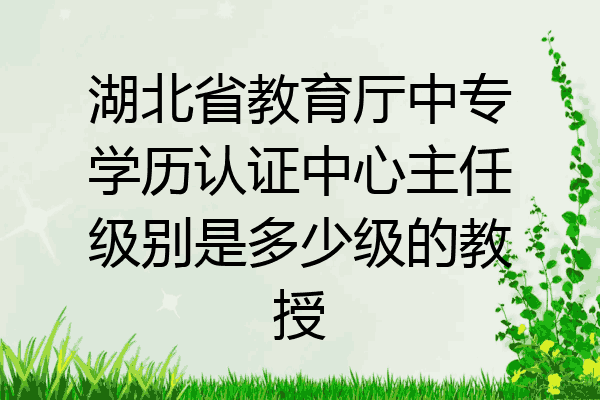 湖北省教育厅中专学历认证中心主任级别是多少级的教授
