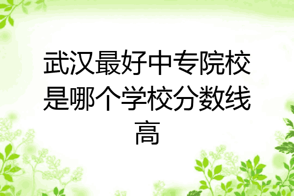 武汉最好中专院校是哪个学校分数线高