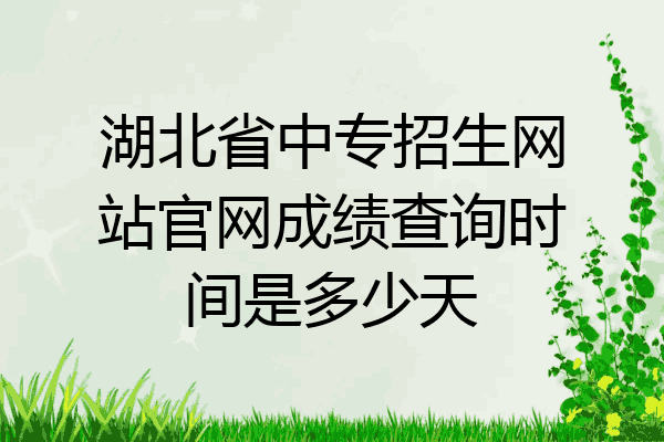 湖北省中专招生网站官网成绩查询时间是多少天
