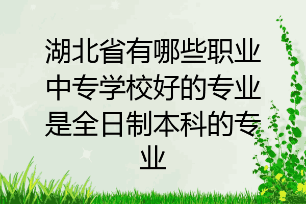 湖北省有哪些职业中专学校好的专业是全日制本科的专业